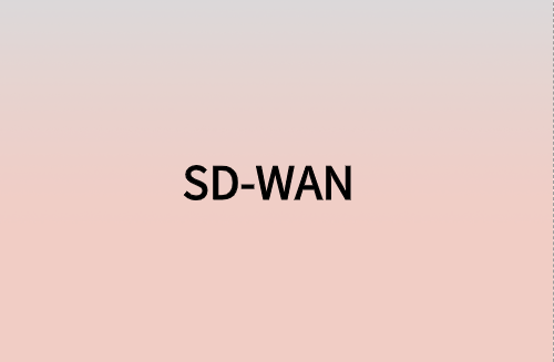 對企業(yè)而言，SD-WAN意味著什么?