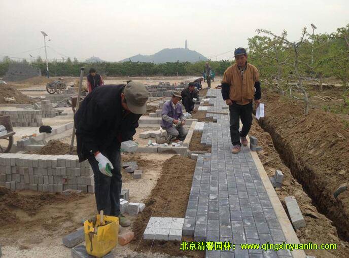 整鋪粘合層,鋪設(shè)透水磚