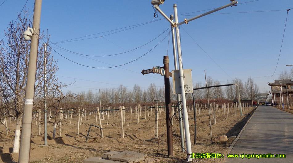 御香園改造提升工程鋪裝實況案例