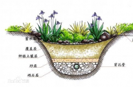 什么是雨水花園？雨水花園和普通花園有什么區(qū)別？
